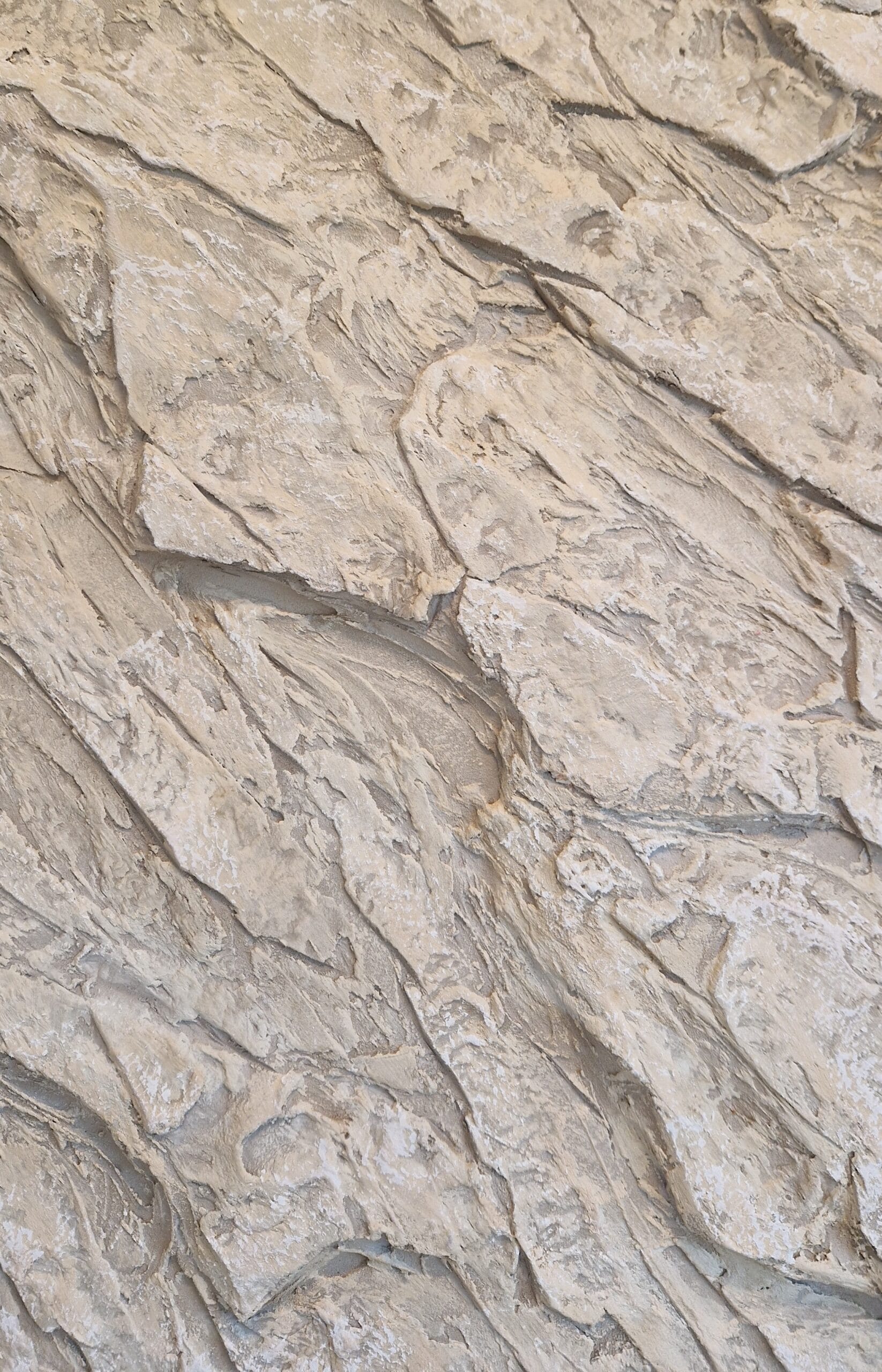 20251026 150234 scaled - Surfaces Studio Decorative Finishes